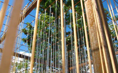 Investir dans l’immobilier : c’est le moment !