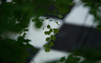 Sécuriser la location de mon appartement